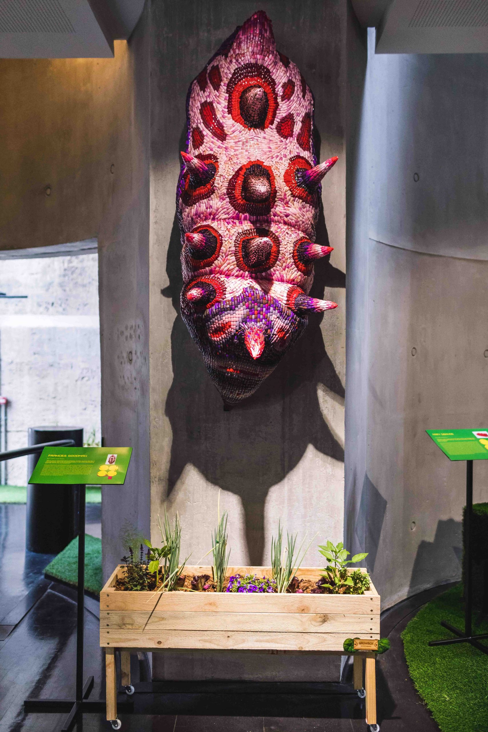 Tilder – Exposition du GrowBox Art Project au Zeitz Mocaa